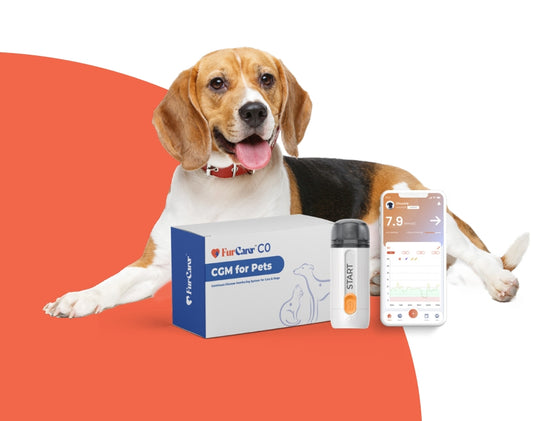 FurCarer Pet CGM